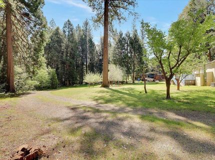 138 Big Fir Rd, Forbestown, CA 95941 Photo