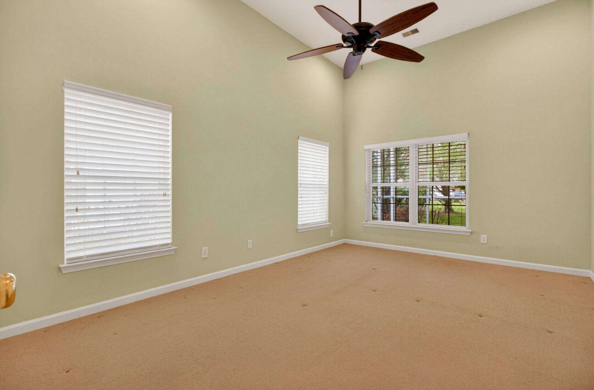 152 Back Tee Circle Photo 19