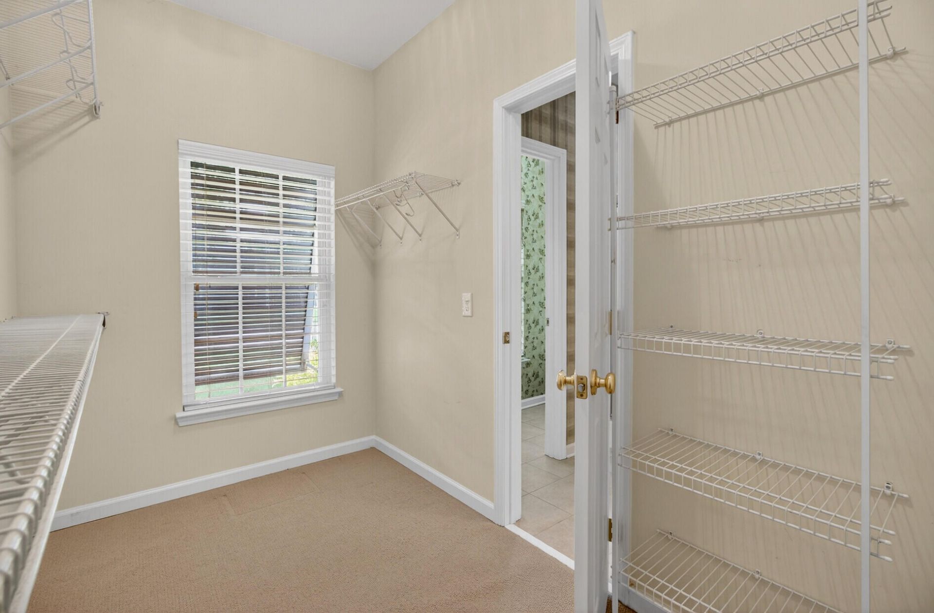 152 Back Tee Circle Photo 20