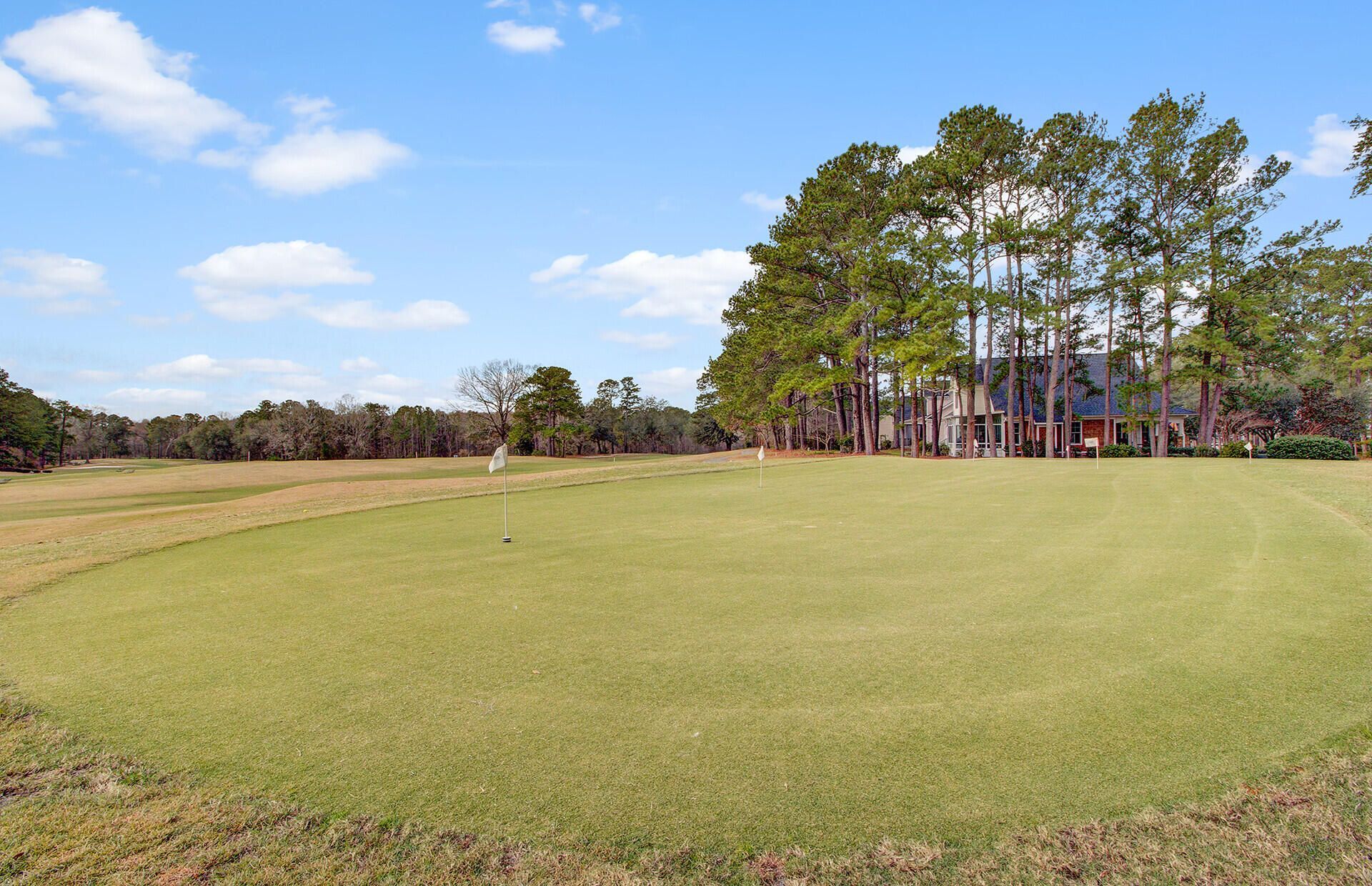 152 Back Tee Circle Photo 46