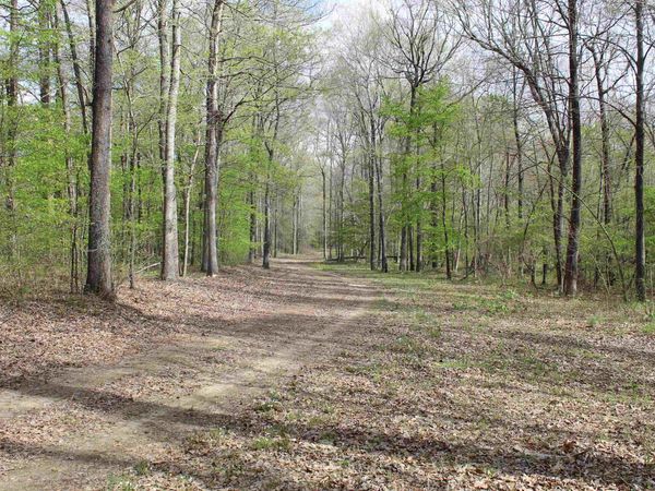 000 ESTANAULA RD, Brownsville, TN 38012
