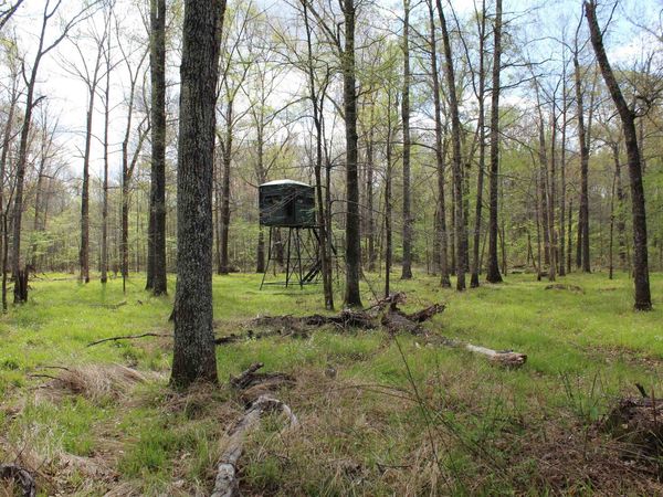 000 ESTANAULA RD, Brownsville, TN 38012