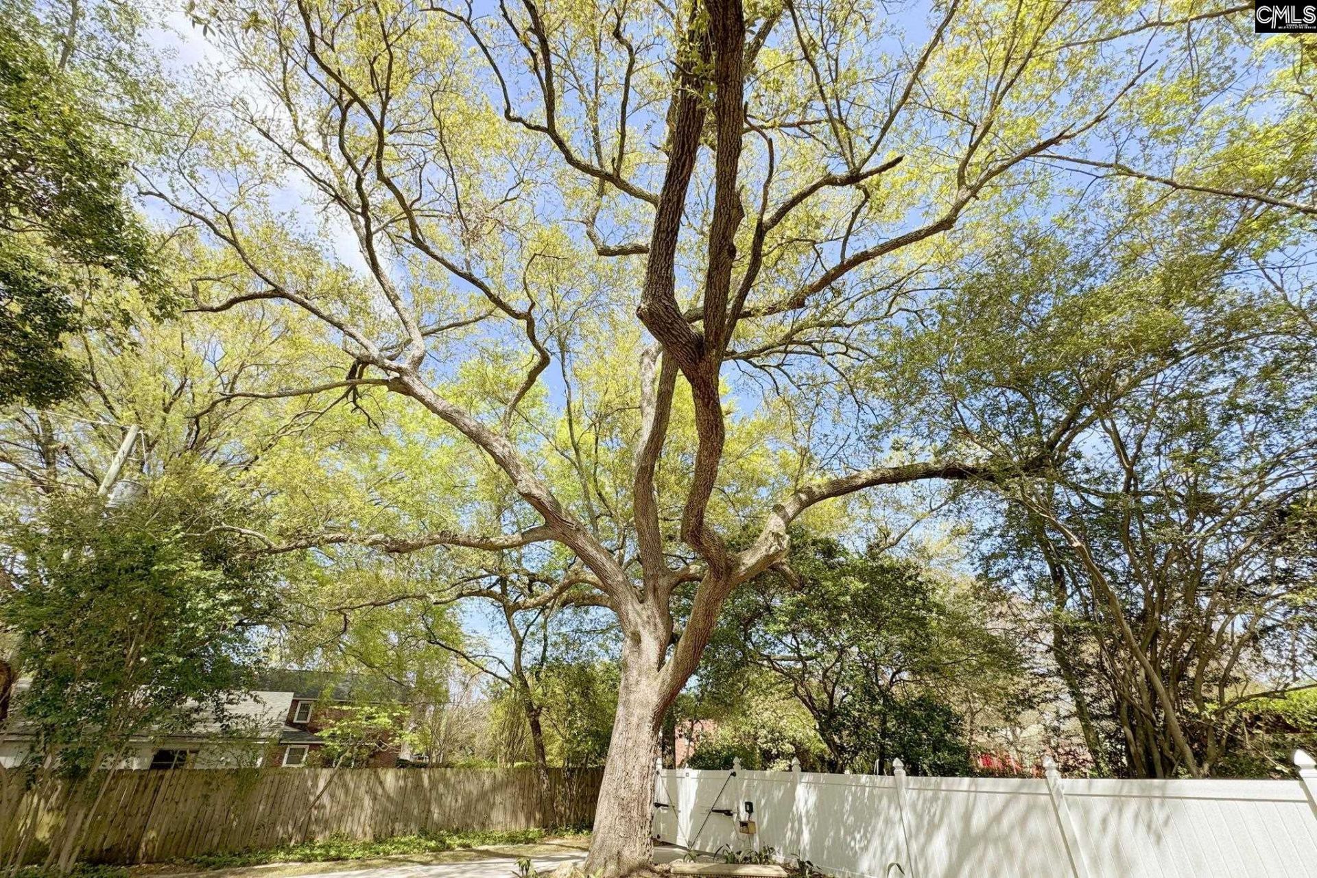 1731 Maplewood Drive Photo 50