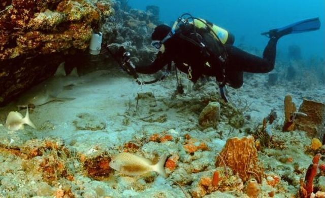 3481 Amberjack Road, Lantana, FL 33462 Photo