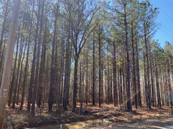 460 Cotton Valley Road, Haughton, LA 71037