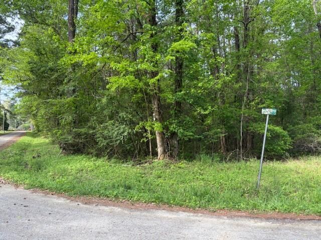 Lot 12a Osprey Drive Photo 4