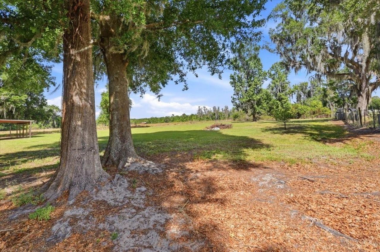 4205 N Combee Road , Lakeland, FL 33805 Photo