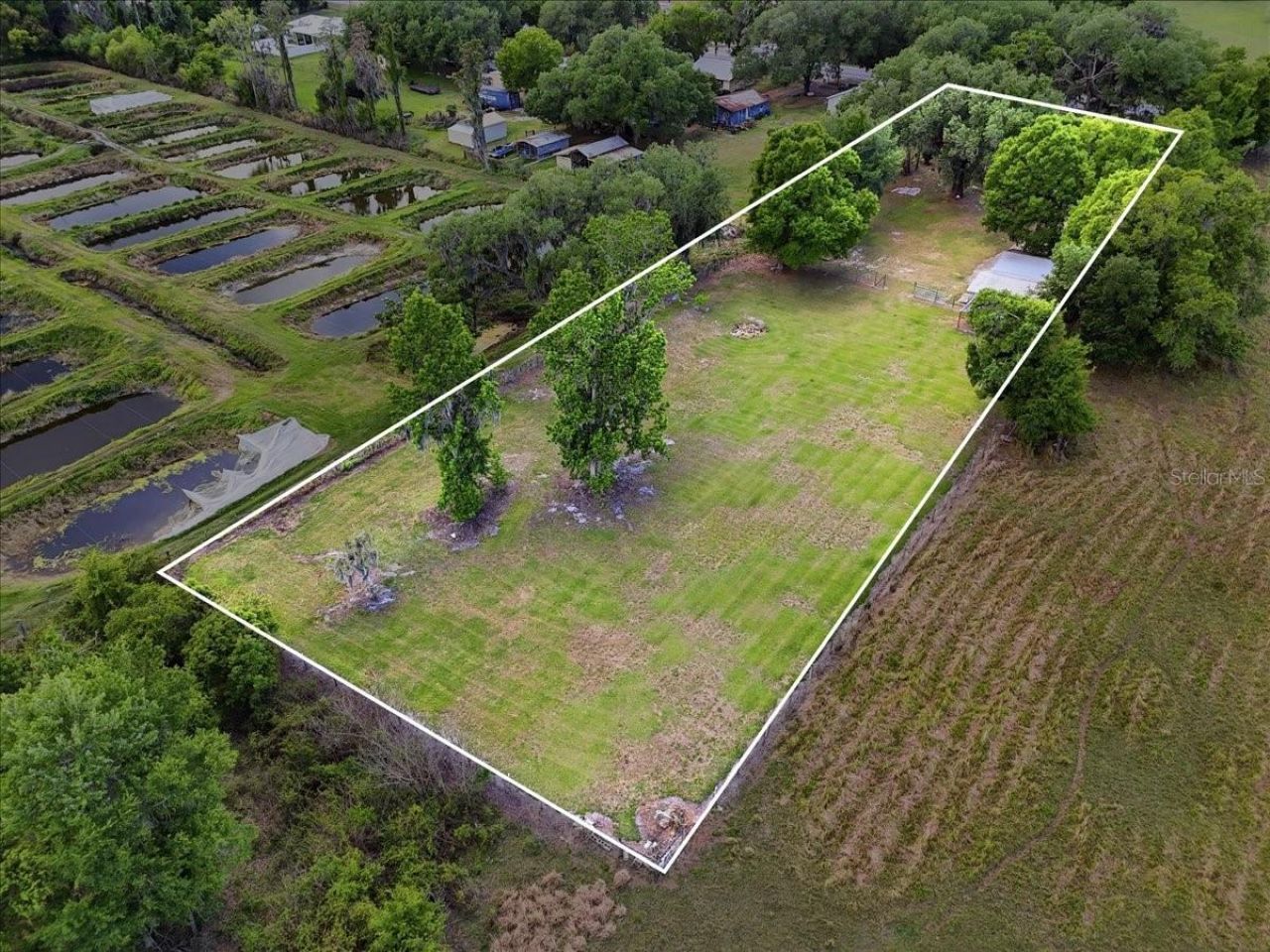 4205 N Combee Road , Lakeland, FL 33805 Photo