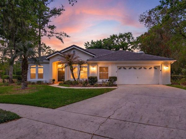 17805 GREEN WILLOW DRIVE , TAMPA, FL 33647