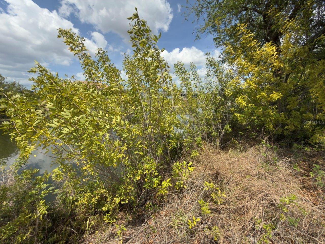 2206 NE 1st Place, Cape Coral, FL 33909 Photo