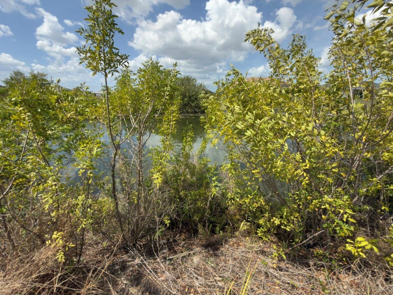 2206 NE 1st Place, Cape Coral, FL 33909 Photo