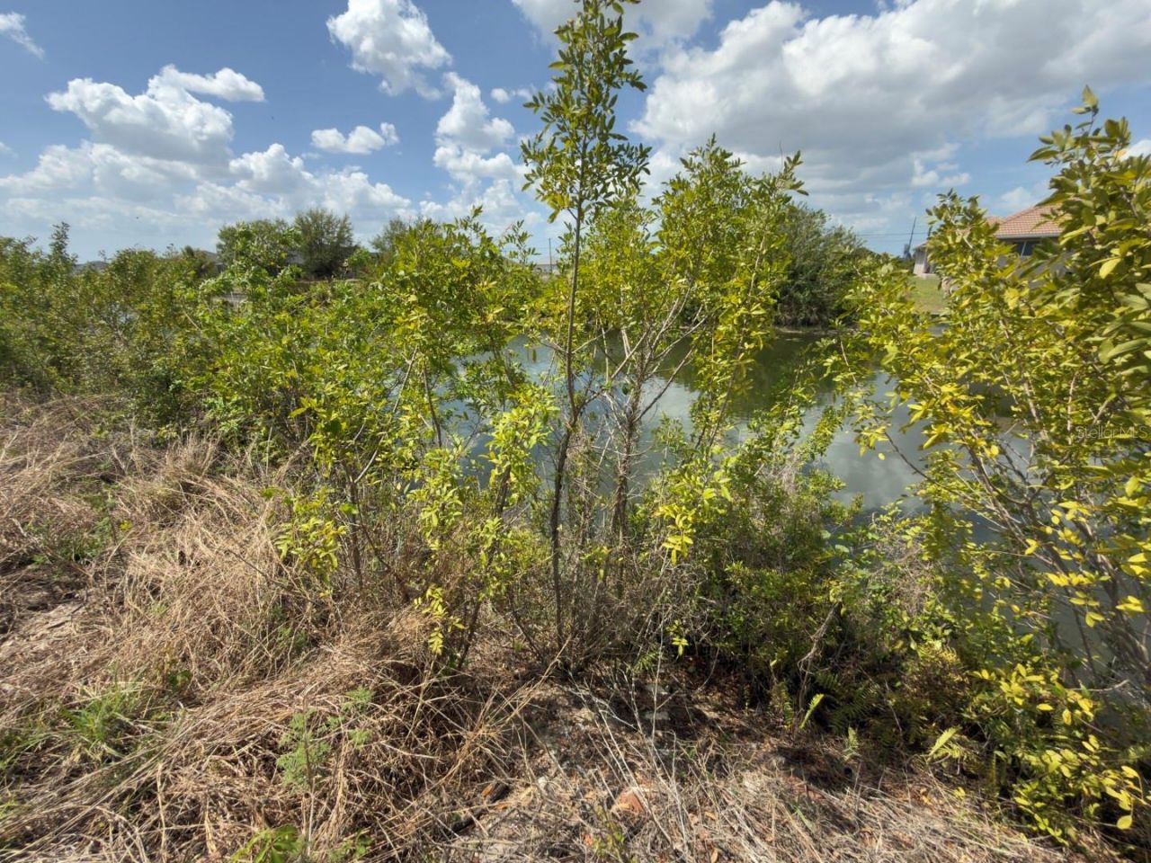 2206 NE 1st Place, Cape Coral, FL 33909 Photo