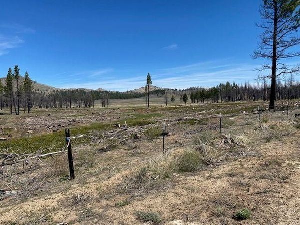 631 Sugarloaf Road, Doyle, CA 00000