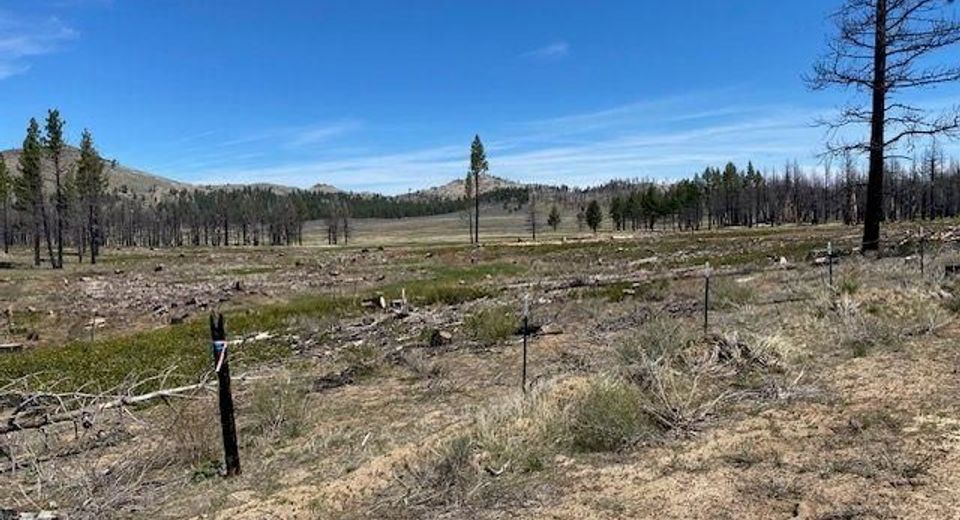 631 Sugarloaf Road, Doyle, CA 00000 Photo