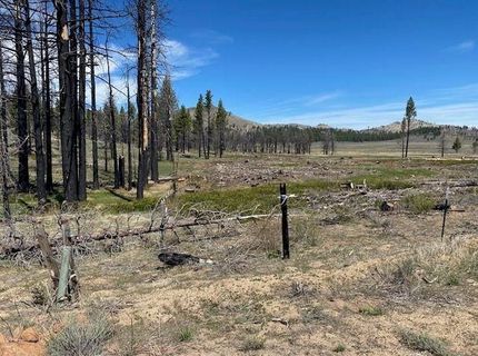 631 Sugarloaf Road, Doyle, CA 00000 Photo