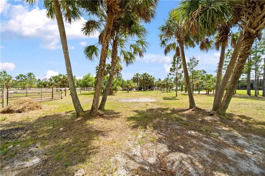 4498 8th St Ne, Naples, FL 34120 Photo