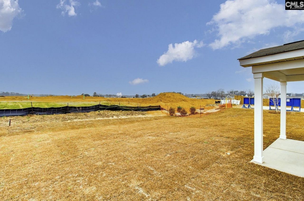 665 Clementine Run Photo 21