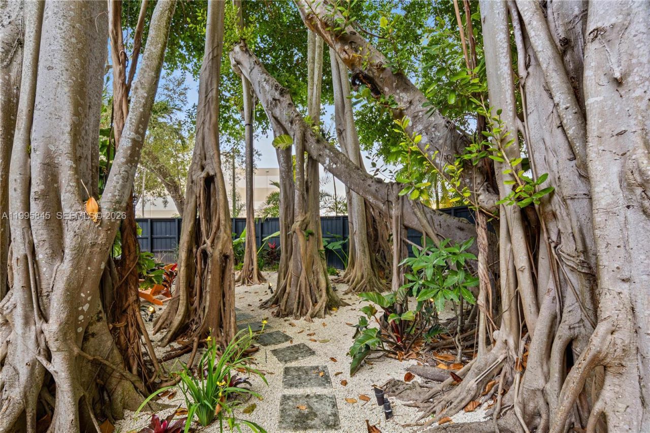 4002 Kumquat Ave, Miami, FL 33133 Photo