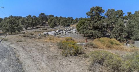 21490 Sazarac Road, Reno, NV 89521 Photo