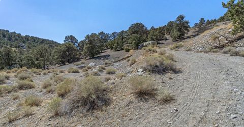 21490 Sazarac Road, Reno, NV 89521 Photo