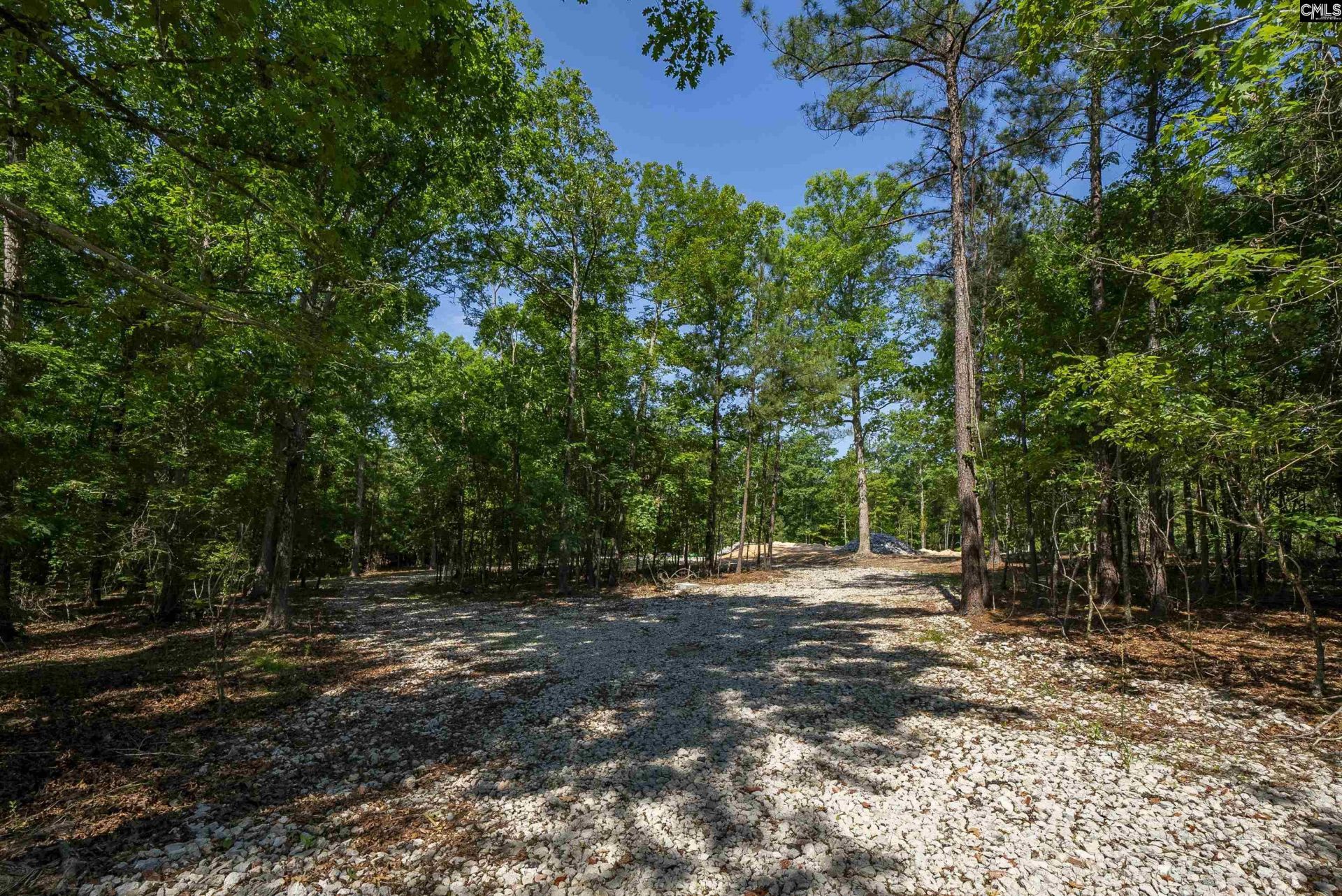 0 Lake Village Drive Photo 43