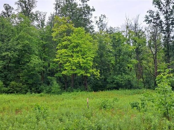 Lot 4 Musky Point Drive, Stone Lake, WI 54876