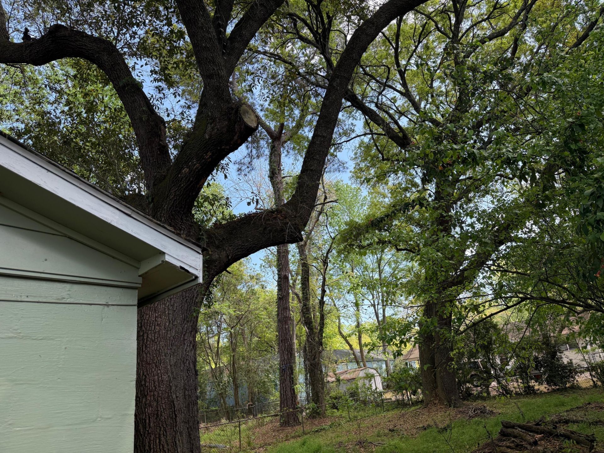 1929 Kerry Street Photo 4