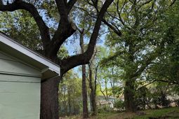 1929 Kerry Street photo 4