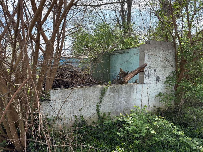 0 Millport Street , South Bloomfield, OH 43103 Photo 3