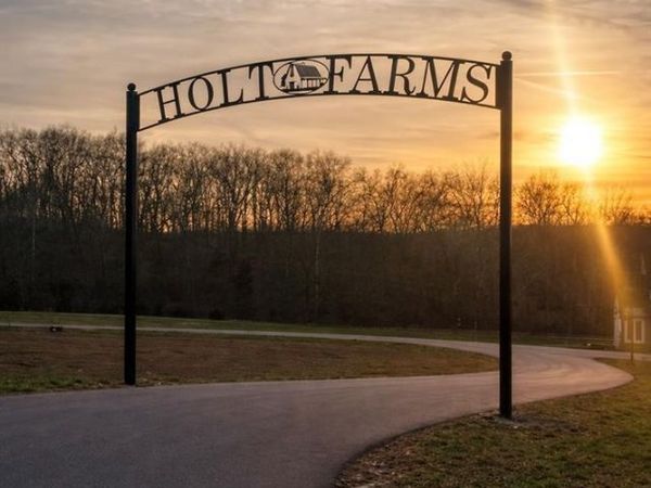 0 Lot 1 Holt Farms , Wentzville, MO 63385