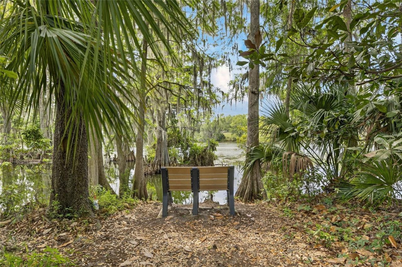 1008 W River Drive, Temple Terrace, FL 33617 Photo