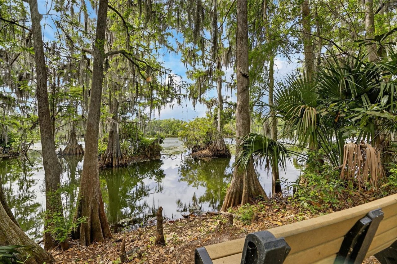 1008 W River Drive, Temple Terrace, FL 33617 Photo