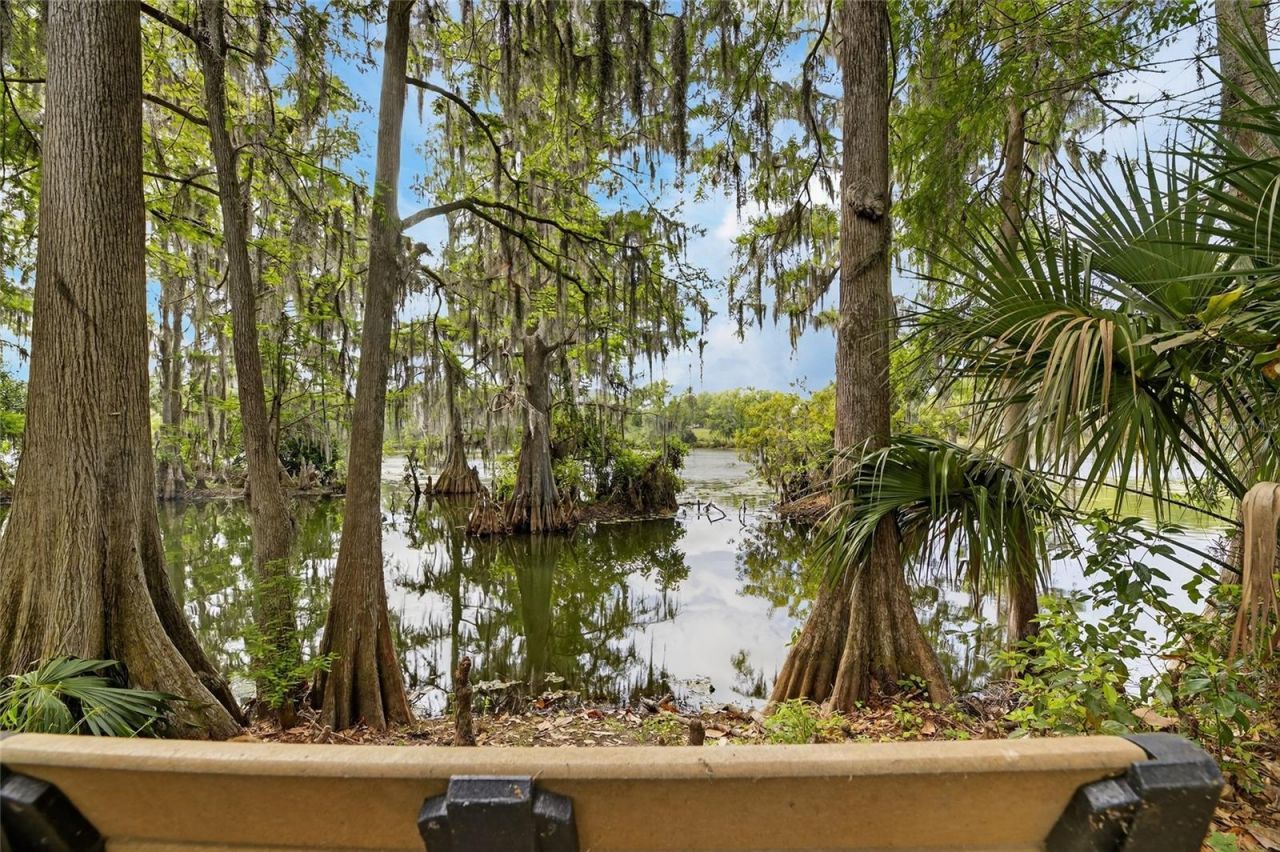 1008 W River Drive, Temple Terrace, FL 33617 Photo