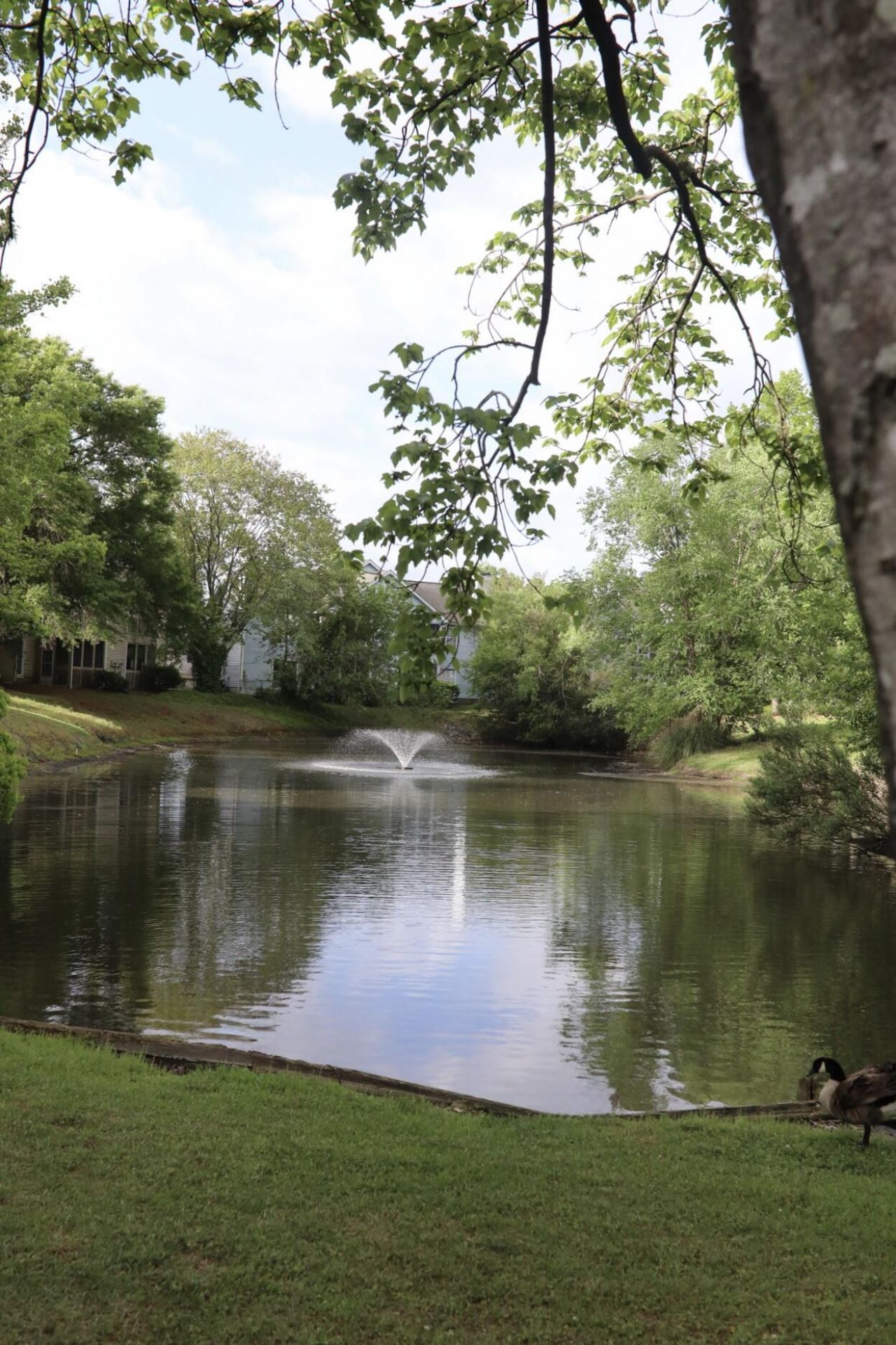 6275 Rolling Fork Road Photo 4