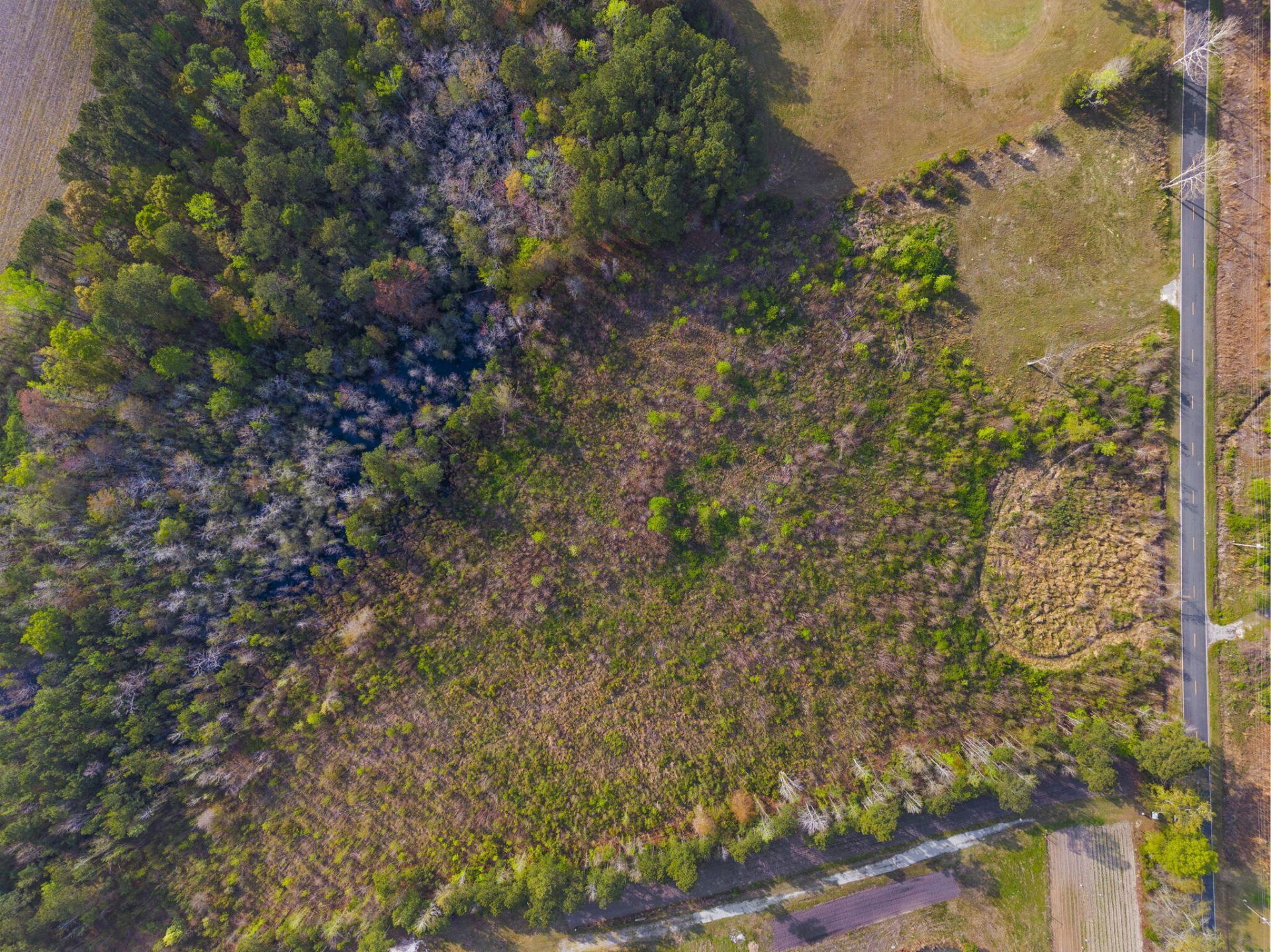 0 Mt Zion Road Photo 12