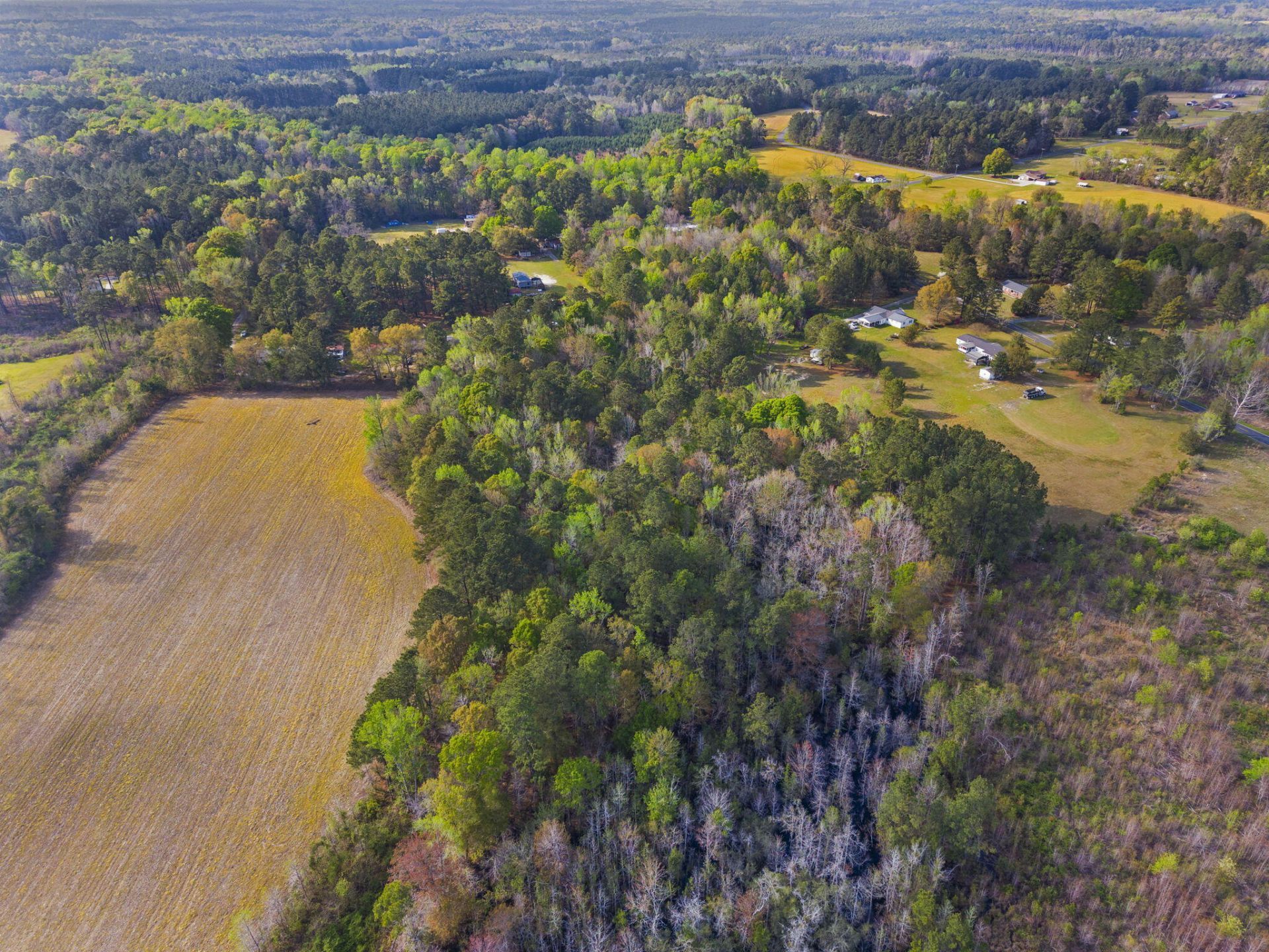 0 Mt Zion Road Photo 13