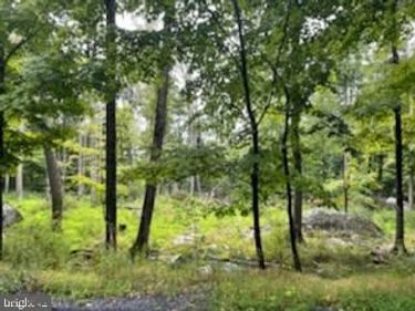 113 FALCON CREST, GREENTOWN, PA 18426