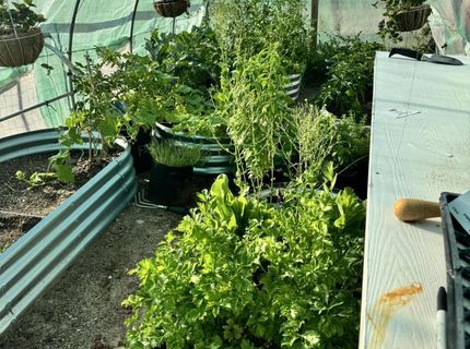 5 Rhoda Lane, Yerington, NV 89447 Photo