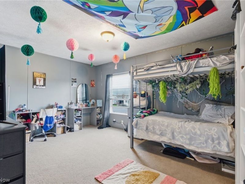 562 La Vista Road W, Lodi, OH 44254 Photo 10