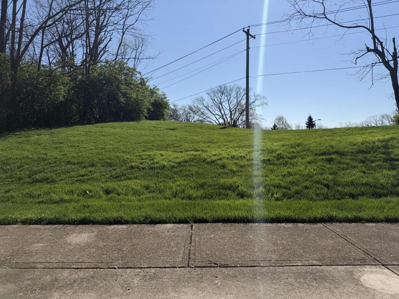 218 Langshire Court, Florence, KY 41042 Photo 16