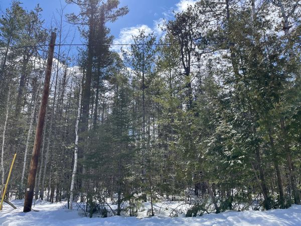 Lot 230 Sunaqua Drive, Presque Isle, MI 49777