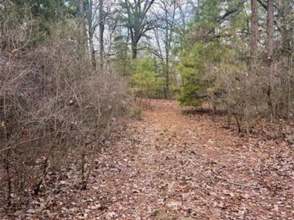 000 Private Road 8000, Winnsboro, TX 75494