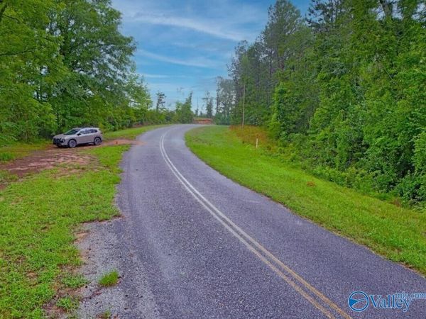 13.5 Acres County Road 338, Elba, AL 36323