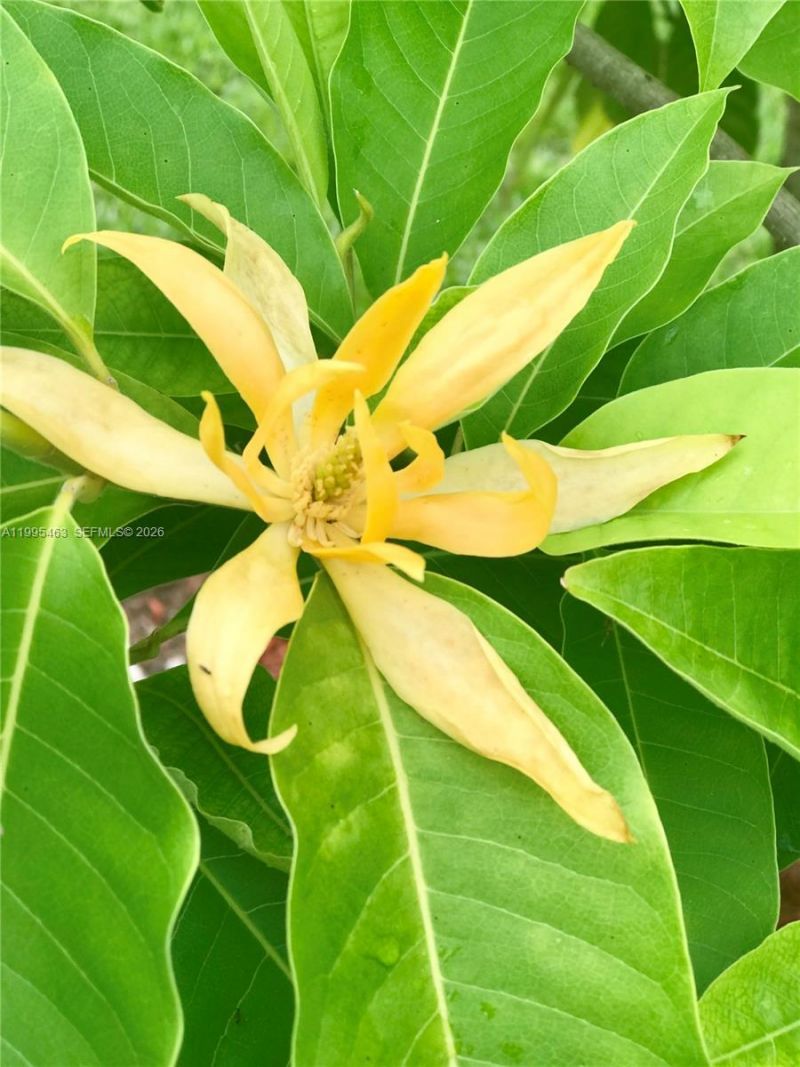 2481 Eagle Watch Ct, Unit ., Weston, FL 33327 Photo