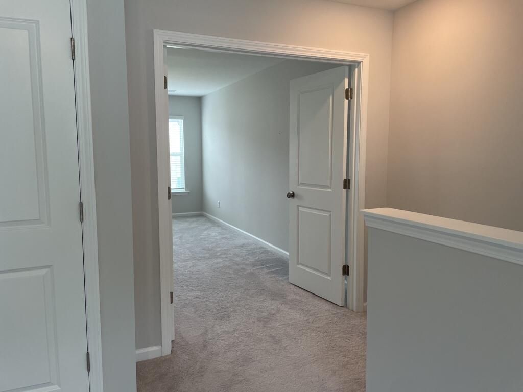 2903 Siebold Drive Photo 15