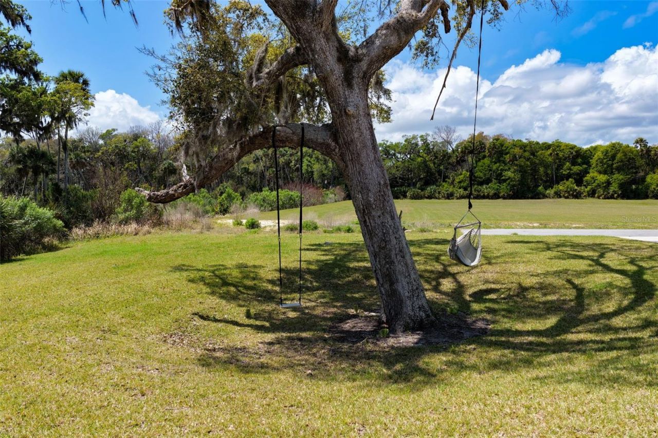 222 Seaside Landings Drive S, Flagler Beach, FL 32136 Photo