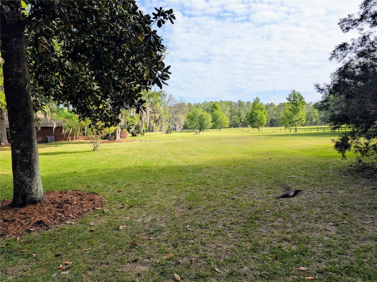 21840 NW 218th Terrace, High Springs, FL 32643 Photo