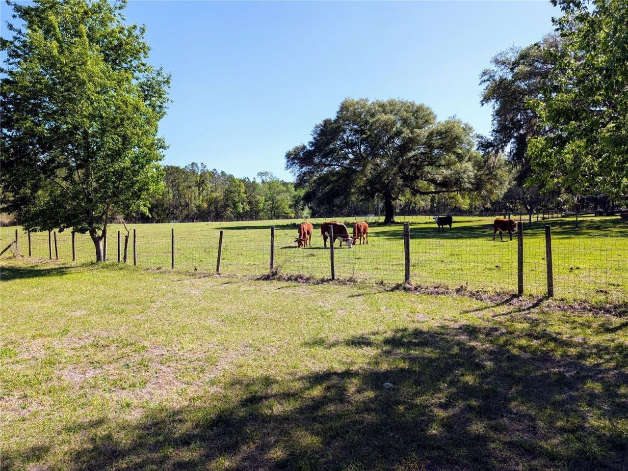 21840 NW 218th Terrace, High Springs, FL 32643 Photo