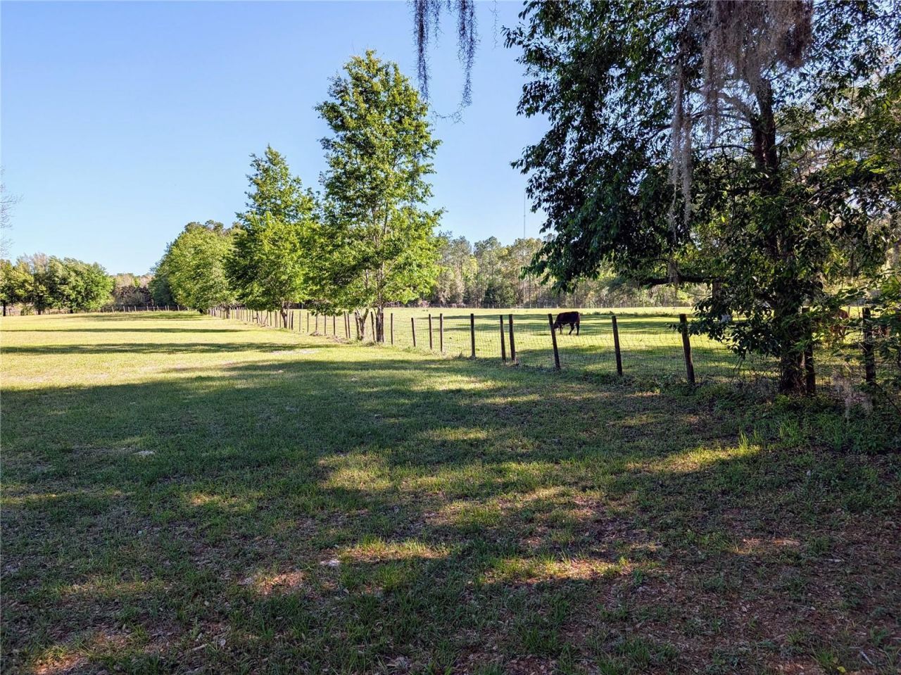 21840 NW 218th Terrace, High Springs, FL 32643 Photo