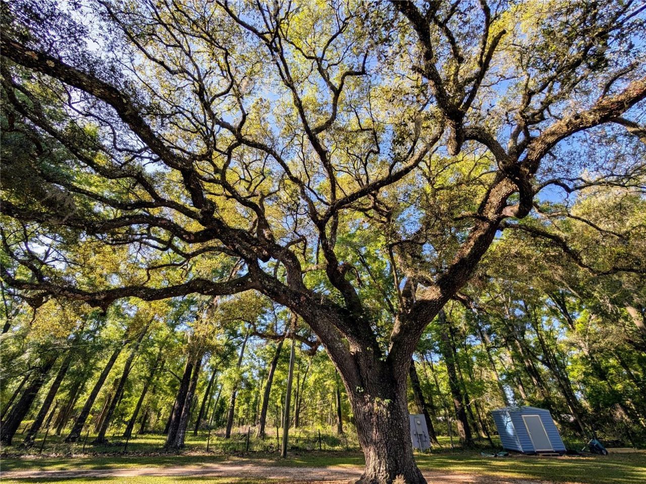 21840 NW 218th Terrace, High Springs, FL 32643 Photo